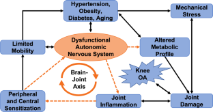 Neuromodulation as a Potential Disease-Modifying Therapy for Osteoarthritis.