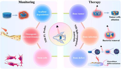 NIR light-facilitated bone tissue engineering.