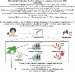 Elucidating the structure-function attributes of a trypanosomal arginyl-tRNA synthetase