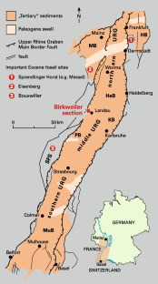 Eocene sediments and a fresh to brackish water biota from the early rifting stage of the Upper Rhine Graben (west of oil field Landau, southwest Germany): implications for biostratigraphy, palaeoecology and source rock potential