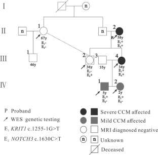 A novel KRIT1/CCM1 mutation accompanied by a NOTCH3 mutation in a Chinese family with multiple cerebral cavernous malformations.