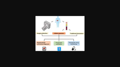 Advances in biomarker discovery using circulating cell-free DNA for early detection of hepatocellular carcinoma.