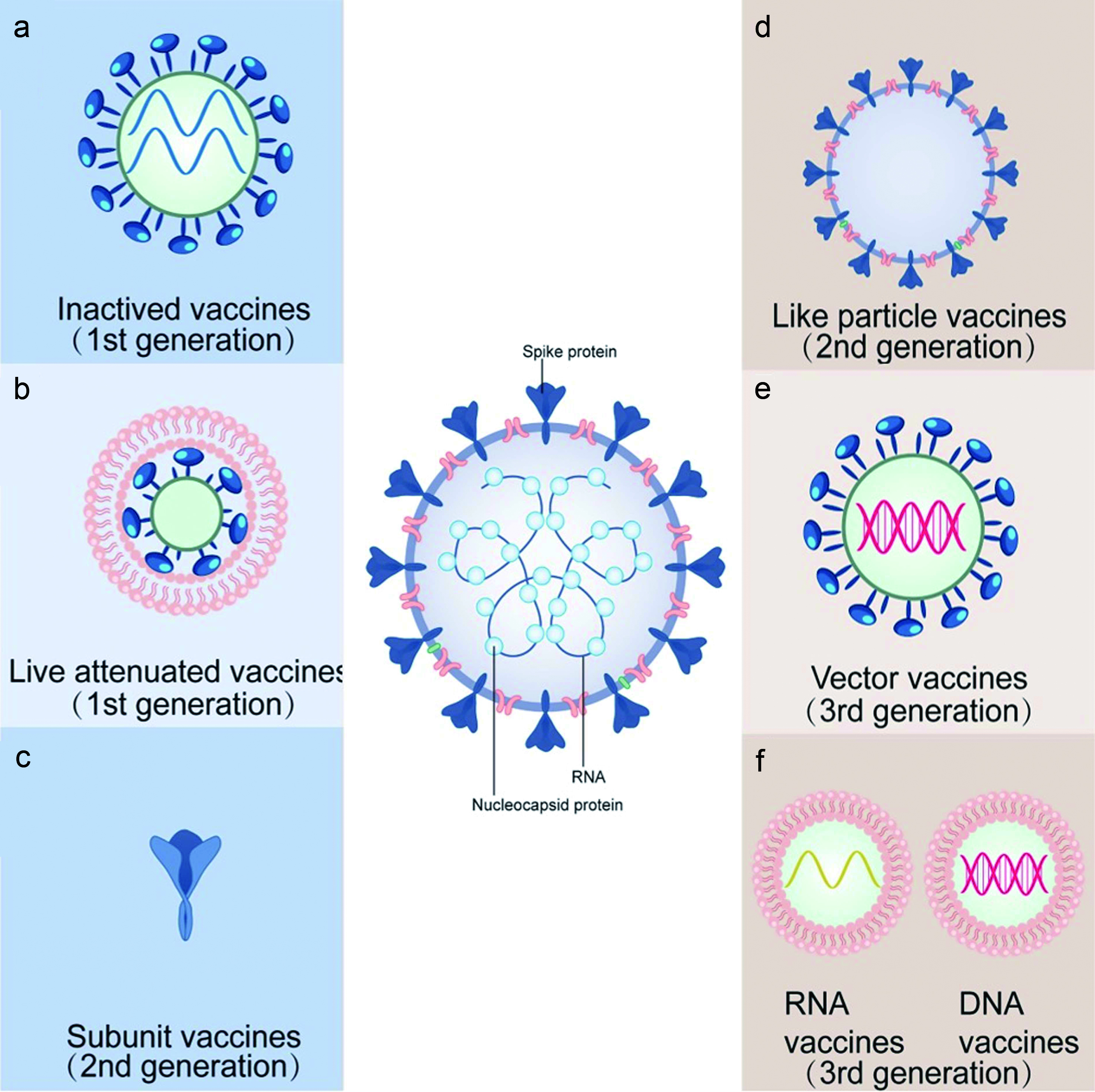 Research, Development and Application of COVID-19 Vaccines: Progress, Challenges, and Prospects