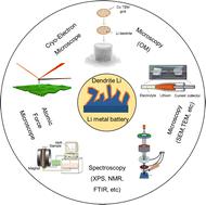 The progress of in situ technology for lithium metal batteries