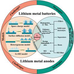 Metal–organic frameworks and their derivatives for optimizing lithium metal anodes