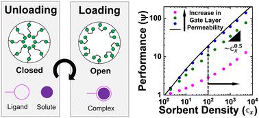 Isolating the effects of gate layer permeability and sorbent density on the performance of solute-selective polymeric ion pumps