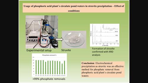 Usage of phosphoric acid plant's circulate pond waters in struvite precipitation—Effect of conditions