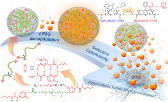 CO2-Responsive drug delivery system created by supramolecular design and assembly for safer, more effective cancer therapy