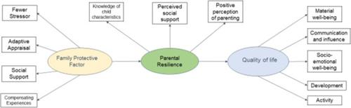 Parental Resilience and Quality of Life in Children with Developmental Disabilities in Indonesia: The Role of Protective Factors