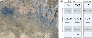 Grouping rule in tadpole: is quantity more or size assortment more important?