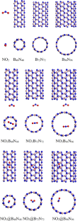 Structures, stabilities and electronic properties of nitrogen dioxide adsorbed and embedded boron nitride clusters with different diameters