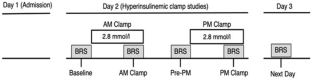 Effect of hypoglycemia on baroreflex sensitivity in individuals with type 2 diabetes: implications for autonomic control of cardiovascular function in diabetes.