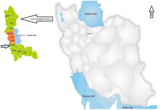 Molecular detection of Coxiella burnetii in blood samples of turtles (Testudo graeca) and their associated ticks