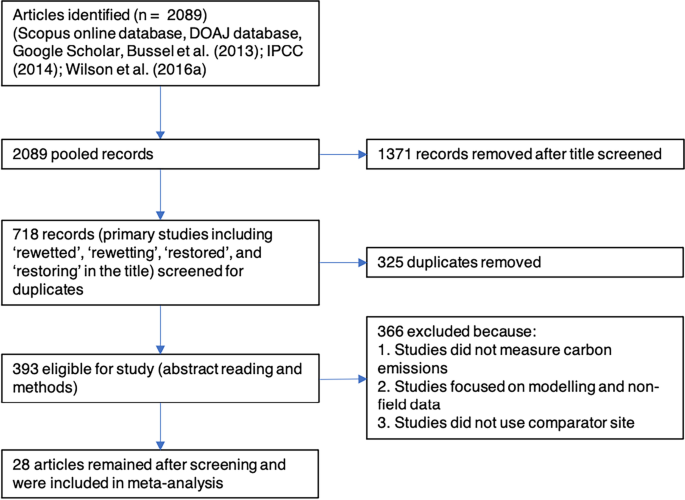 Effect of rewetting degraded peatlands on carbon fluxes: a meta-analysis