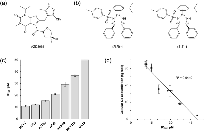 Targeting cancer lactate metabolism with synergistic combinations of synthetic catalysts and monocarboxylate transporter inhibitors