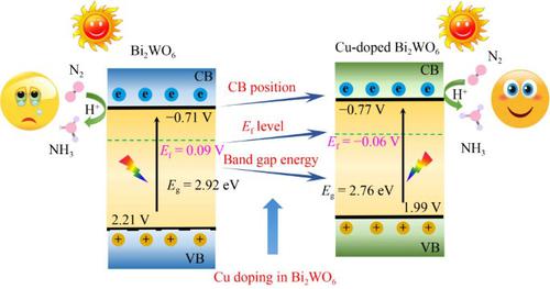 Cu-doped Bi/Bi2WO6 catalysts for efficient N2 fixation by photocatalysis