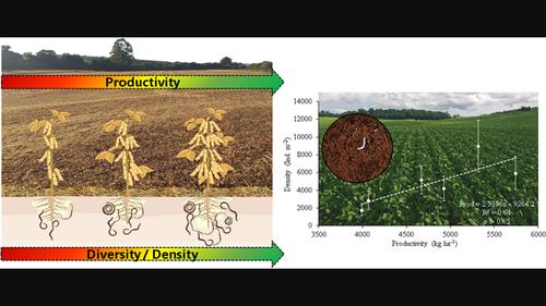 Is there a relationship between enchytraeids diversity and community with soybean (Glycine max L.) productivity in no-till system in subtropical soils of Brazil?