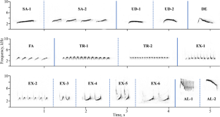 Bigger male Eurasian nuthatches (Sitta europaea) behave more aggressively in playback-simulated territorial intrusion