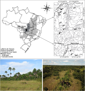 Characterization and predictors of the zooplankton community in the Veredas wetlands in Brazilian savanna