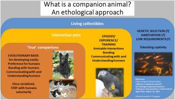 What is a companion animal? An ethological approach based on Tinbergen's four questions. Critical review