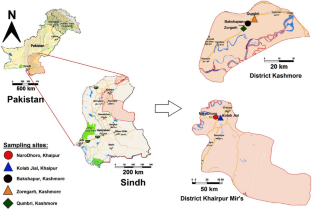 Temperate hyper-saline ecosystems induce spatial distribution and halo-thermotolerance potential in indigenous cultivable bacterial community