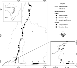 Temporal beta diversity increases with environmental variability in zooplankton floodplain communities