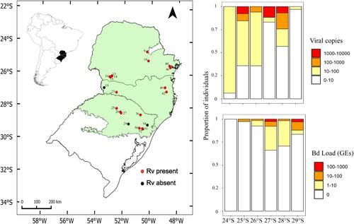 Predominant prevalence of Ranavirus in southern Brazil, a region with widespread occurrence of the amphibian chytrid