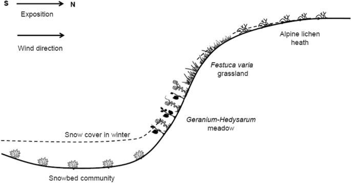 Alpine plant communities differ in their seed germination requirements along a snowmelt gradient in the Caucasus