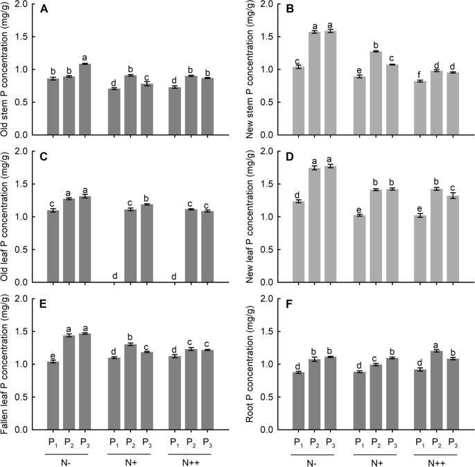 Differential responses of phosphorus accumulation and mobilization in Moso bamboo (Phyllostachys edulis (Carrière) J. Houz) seedlings to short-term experimental nitrogen deposition