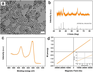 Glutathione-Responsive T1 Contrast Agent for Tumor Imaging