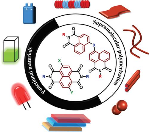 Core-Substituted Naphthalene-Diimides (cNDI) and Related Derivatives: Versatile Scaffold for Supramolecular Assembly and Functional Materials