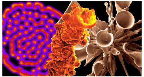 Patterns Lead the Way to Far-from-Equilibrium Materials