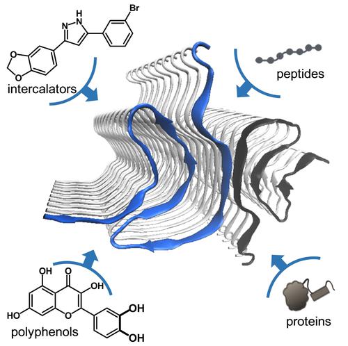 Navigating α-Synuclein Aggregation Inhibition: Methods, Mechanisms, and Molecular Targets