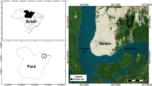 Temporal patterns of alpha and beta diversities of microzooplankton in a eutrophic tidal river in the eastern Amazon