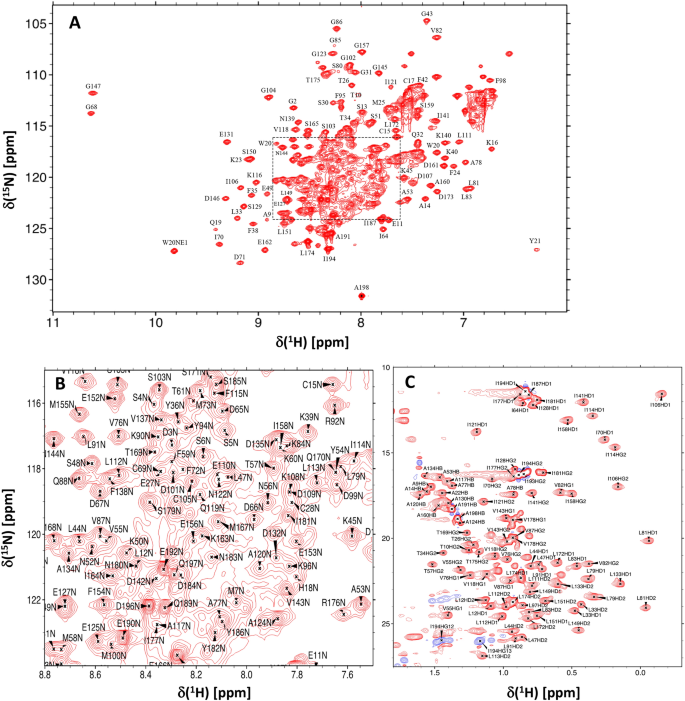 Chemical shift assignments of retinal guanylyl cyclase activating protein 5 (GCAP5) with a mutation (R22A) that abolishes dimerization and enhances cyclase activation