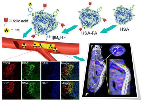 In Vivo Comparative Study of Radioiodinated Folate Receptor Targeting Albumin Probes for Atherosclerosis Plaque Imaging