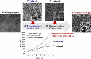 Gelation behavior of lentil protein aggregates induced by sequential combination of glucono-δ-lactone and transglutaminase