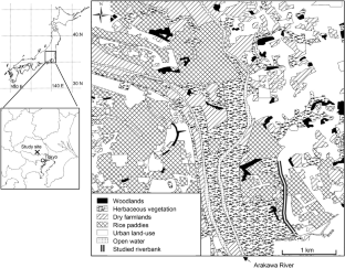 Relationship between dominant species, vegetation composition and species attributes in spring and autumn on a riverbank: implications for river management to enhance ecosystem functions