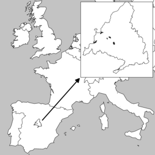 Valuation of Ecosystem Services: A Source of Financing Mediterranean Loss-Making Forests