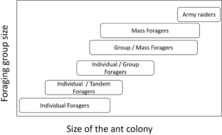 Recruitment Strategies and Foraging Patterns of Ants: What Shapes Them and Why?