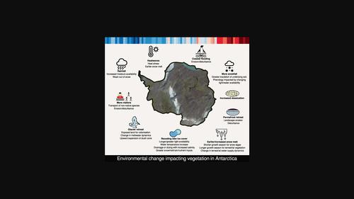 Antarctica's vegetation in a changing climate