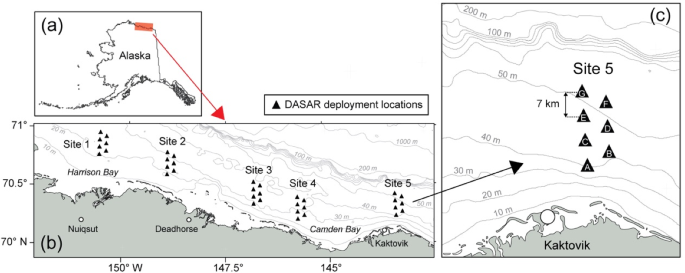 Accommodating False Positives Within Acoustic Spatial Capture–Recapture, with Variable Source Levels, Noisy Bearings and an Inhomogeneous Spatial Density