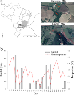 Physical, Chemical, and Microbiological Attributes as Discriminators of Coffee-Growing and Forest Sites in Different Soils in the Brazilian Atlantic Forest Biome