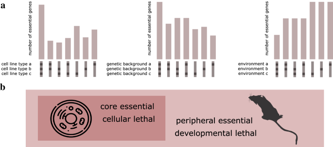 Essential genes: a cross-species perspective.