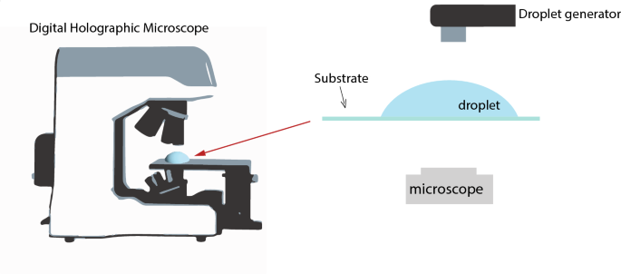 Digital holographic microscopy for measurement of instantaneous contact angle of an evaporating droplet