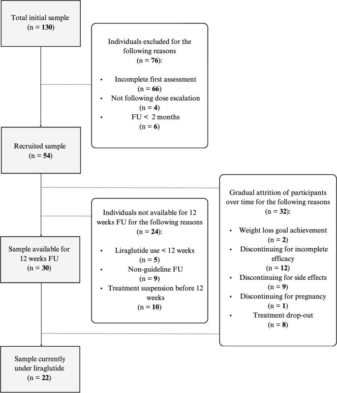 Liraglutide 3.0 mg and mental health: can psychiatric symptoms be associated to adherence to therapy? Insights from a clinical audit.