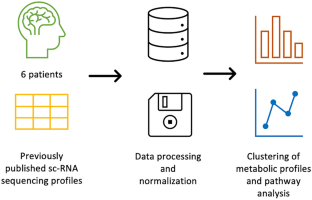 Spatial metabolic heterogeneity of oligodendrogliomas at single-cell resolution.