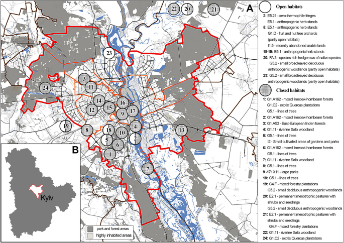 The influence of illumination regimes on the structure of ant (Hymenoptera, Formicidae) community composition in urban habitats