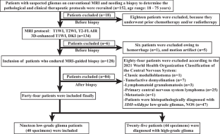 DKI can distinguish high-grade gliomas from IDH1-mutant low-grade gliomas and correlate with their different nuclear-to-cytoplasm ratio: a localized biopsy-based study.