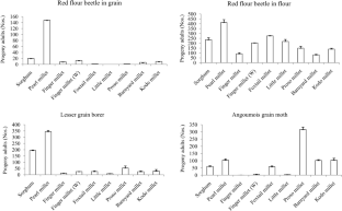 Preference and progeny development of stored product insects in response to grain characteristics of millets